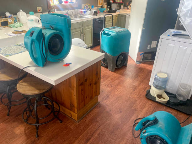Best Ceiling water damage repair  in Ewa Villages, HI