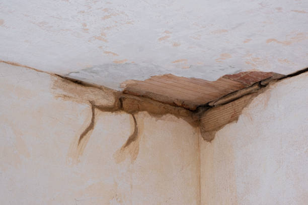 Trusted Ewa Villages, HI Water damage restoration Experts
