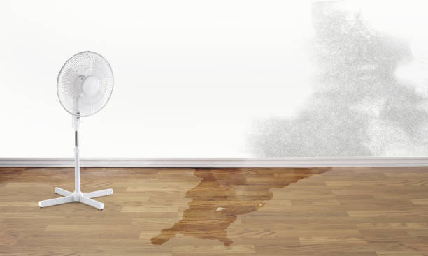 Best Sewage cleanup and water damage restoration  in Ewa Villages, HI