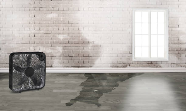 Best Commercial water damage restoration  in Ewa Villages, HI