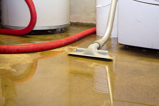 Best Residential water damage restoration  in Ewa Villages, HI