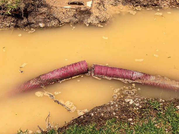 Best Water damage contractors near me  in Ewa Villages, HI