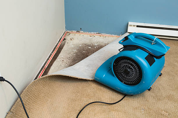Best Basement water damage restoration  in Ewa Villages, HI